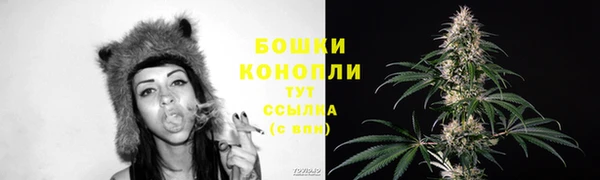 ПСИЛОЦИБИНОВЫЕ ГРИБЫ Ростов
