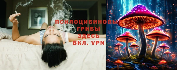 прущая мука Новодвинск