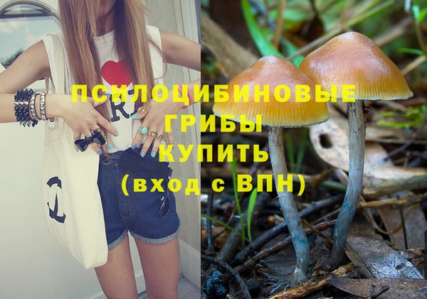 прущая мука Новодвинск