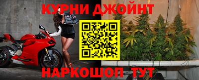 кокс Донской