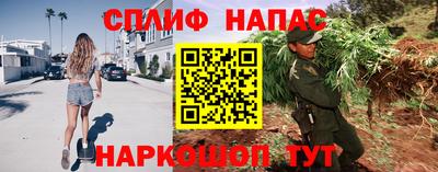 прущие грибы Ликино-Дулёво
