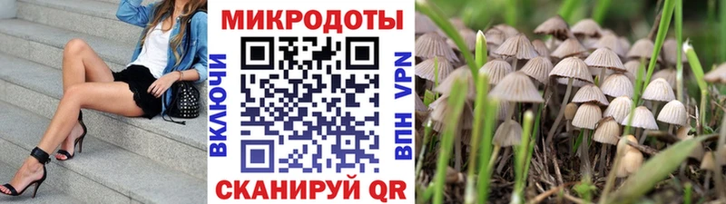 где купить наркоту  Конаково  Галлюциногенные грибы мухоморы 