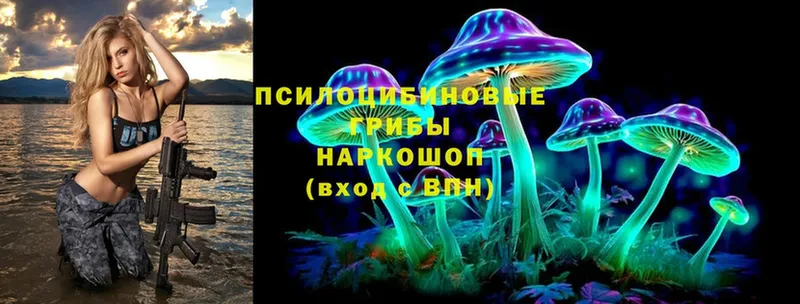 Галлюциногенные грибы Magic Shrooms  наркотики  Конаково 