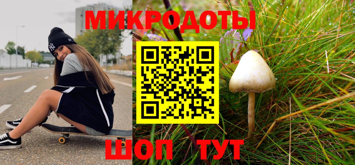 Галлюциногенные грибы Psilocybine cubensis Конаково